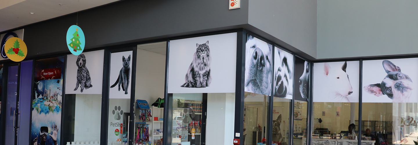 PETS CLINICA store_header